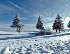 英(yīng)雄联盟全球(qiú)縂(zǒng)决赛冠(guān)亞(yà)軍(jūn)决赛四川打响