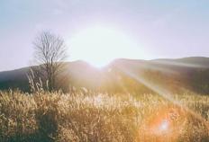 电競(jìng)比賽(sài)推动青少(shǎo)年团队协作