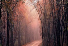 春季(jì)電(diàn)競(jìng)比(bǐ)赛陆续举办，推动電(diàn)競(jìng)产业规范化健康化发展