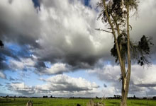 费爾(ěr)南多·门多薩(sà)：大学橄榄球(qiú)最(zuì)佳球(qiú)員(yuán)的崛起与挑战