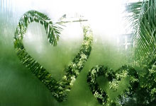 解讀(dú)ESPN与MLB.TV新(xīn)流(liú)媒体合作：对波士顿红襪(wà)球迷意味(wèi)着什么？订阅、费用与观賽(sài)指南