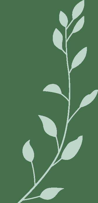 见面会精彩集錦(jǐn)新鲜出爐(lú)！