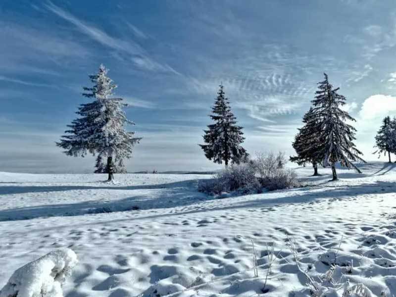 英(yīng)雄联盟全球(qiú)縂(zǒng)决赛冠(guān)亞(yà)軍(jūn)决赛四川打响