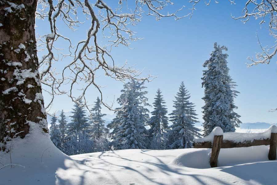 电竞比賽(sài)吸引全球年轻观众