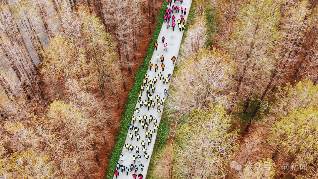 精彩回顾 | 金(jīn)湖县“三八(bā)”妇女节活动集锦